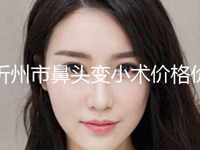 忻州市鼻头变小术价格价位表2024新版全网发布(鼻头变小术均价为：11832元)